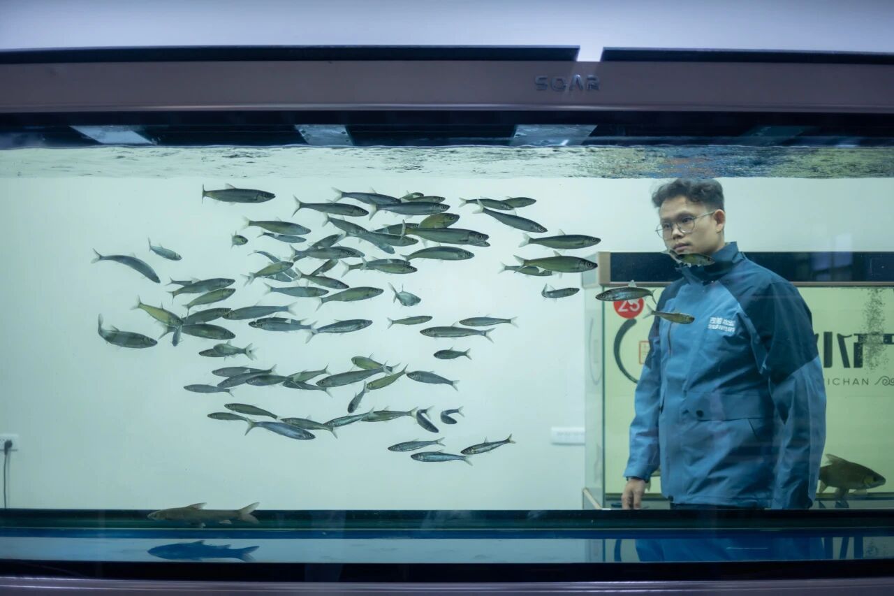 青春榜young | 殷琦丰：6000万！90后毕业生把“土著鱼”做成大生意，打造国家级养殖示范区